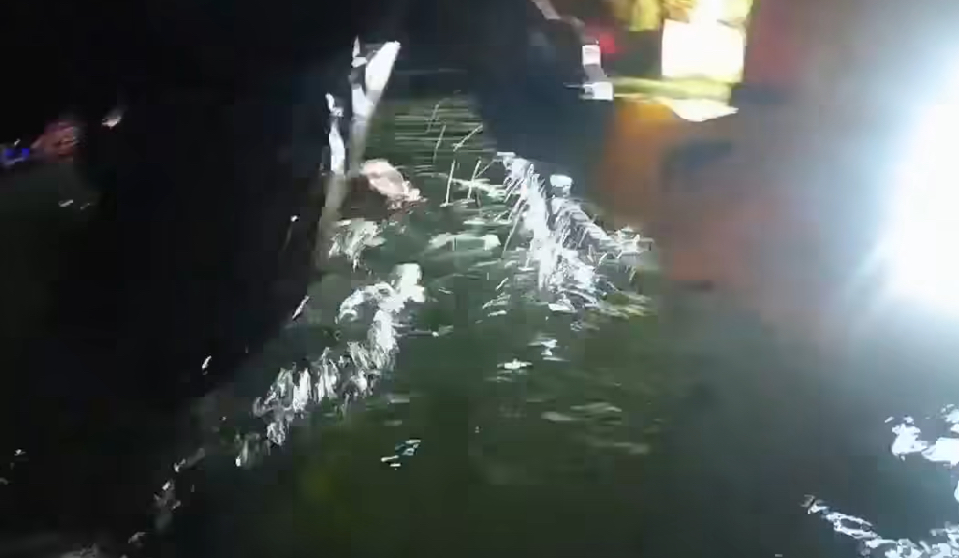 Michigan State Police Troopers Brave Frigid Waters in Heroic Wolf Lake Rescue Effort