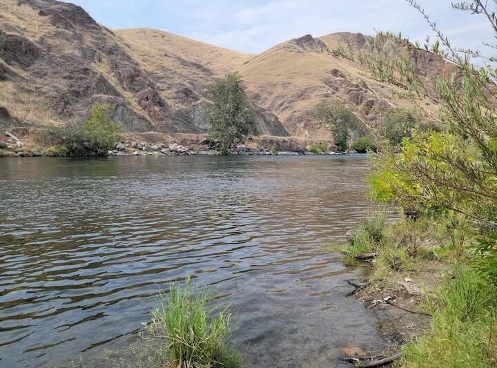 Tragedy on the Kings River: Man in His 30s Drowns at Winton Park in Fresno County