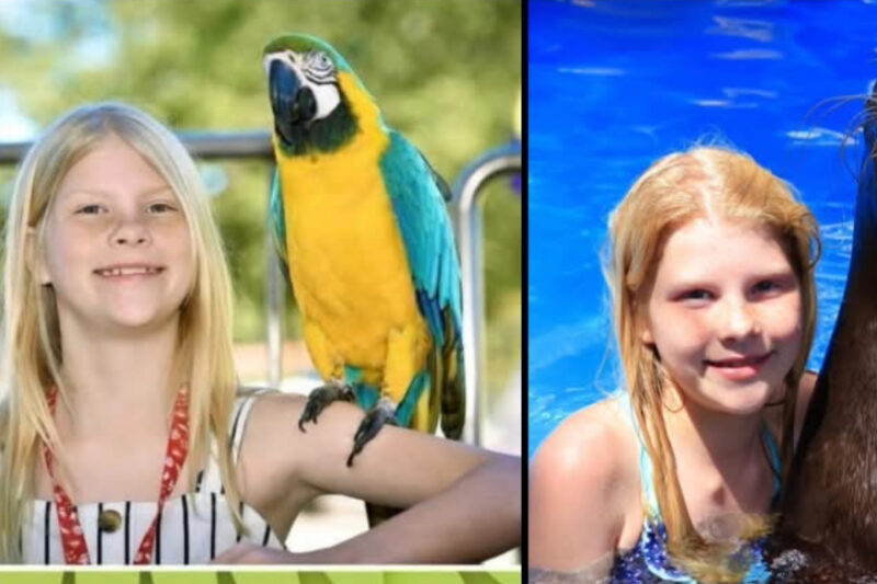 Portland Community Rallies as 11-Year-Old Sophia Ballinger Fights for Life After Suicide Attempt