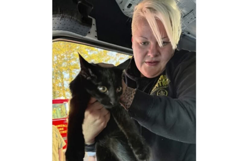 In Loving Memory of the Victims of the Tragic I-85 Crash – Jackson County, Georgia