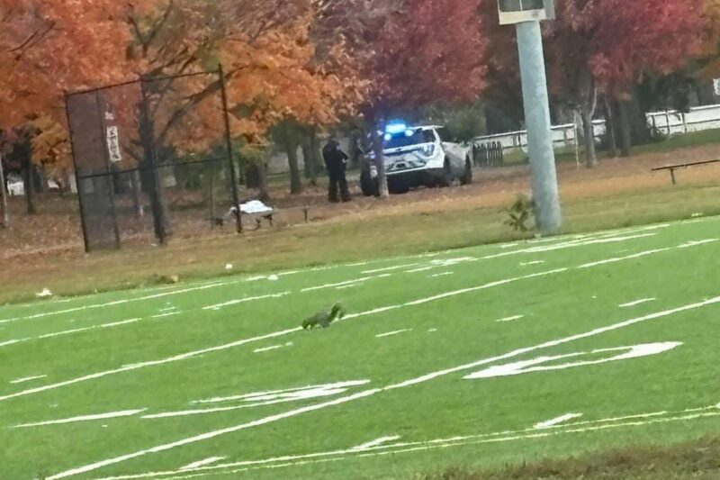 In Loving Memory of John “Doe” Guzman Forever Loved, Forever Remembered (Hamlin & West End / Garfield Park)