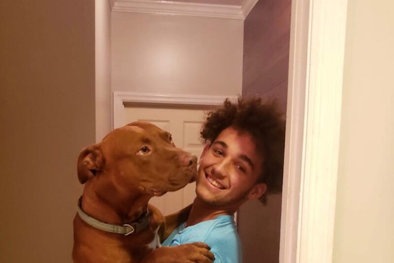 In Loving Memory of Ashton Brown Forever in Our Hearts